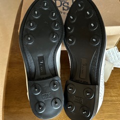 紳士用ゴルフ靴？の画像