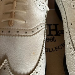 紳士用ゴルフ靴？の画像