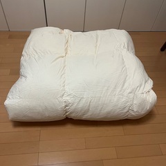 【新品に近い状態】ニトリ羽毛掛け布団　Wサイズの画像