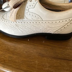 紳士用ゴルフ靴？の画像