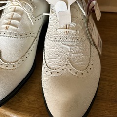 紳士用ゴルフ靴？の画像