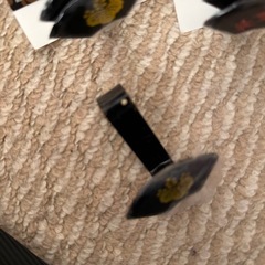 扇面額受の画像