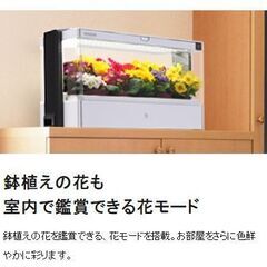 【無料譲渡】水耕栽培器セットGreen Farmの画像