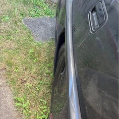 スティングレーの画像