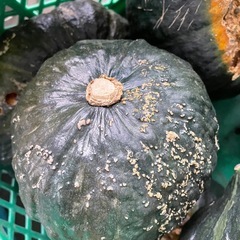 かぼちゃ 南瓜 1箱10キロ以上 ② 野菜の画像