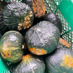 かぼちゃ 南瓜 1箱10キロ以上 ② 野菜の画像