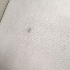 ★リユースのサカイ横浜南店★YM1655  2人掛けソファ アイボリー W130×D80×H75 クリーニング済みの画像