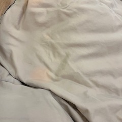 【取引中】羽毛布団の画像