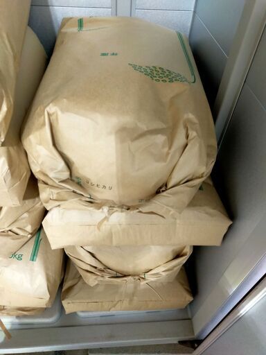 決定しました　令和7年産　コシヒカリ　玄米１袋30kg