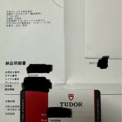 TUDOR ブラックベイ GMTの画像