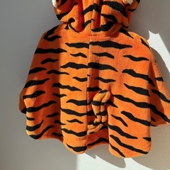 ポンチョ　ティガー　ディズニー　コスプレの画像