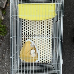 ウサギ小屋の画像