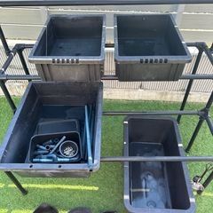 メダカ　棚付きボックスなど　の画像