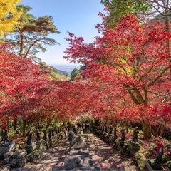 大山行ける人 平日 ※現在2名