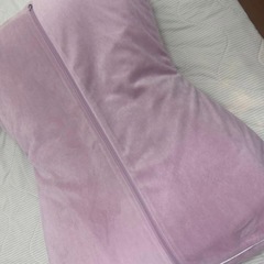 マイマクラの画像