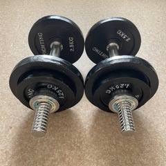 ファイティングロード ダンベル 10kg×2の画像