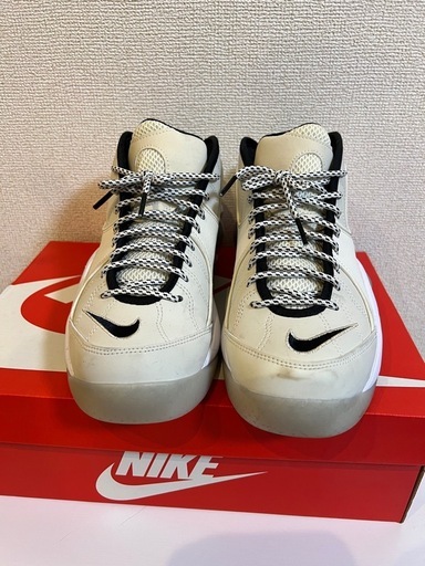 【美品】NIKE エアズームフライト95 25.5cm