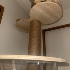 キャットタワーの画像
