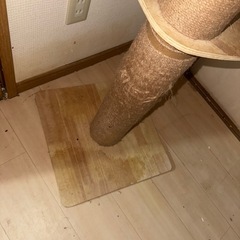 キャットタワーの画像