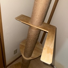 キャットタワーの画像