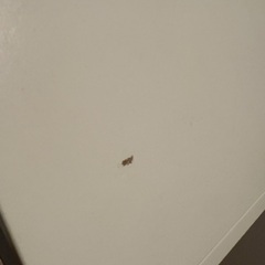 IKEA トロファスト収納棚の画像