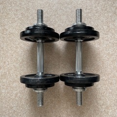 ファイティングロード ダンベル 10kg×2の画像