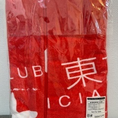 【新品未開封】東方神起　Great Fans Bigeast限定　ジャンボタオルの画像