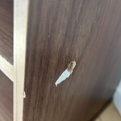 【12月末まで掲載】テレビ台※傷あり　縦約37cm　横約73cm　奥約29cmの画像