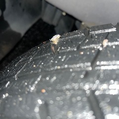 155/65/R13 　スタッドレスタイヤ　鉄チンホイールセット の画像