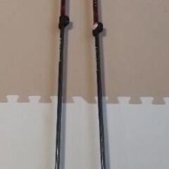 【手渡し限定】テレマークスキー板　ブーツ　ポール　セット（札幌、ニセコ周辺）の画像