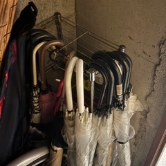 すだれ　傘多数　　もりの画像