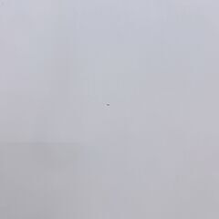 OE100211 シャープ 271L 冷蔵庫 大型 小型 一人暮らしの画像