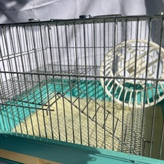 ハムスターゲージ　回し車付き　の画像