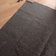 ホットカーペット 美品の画像