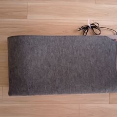 ホットカーペット 美品の画像