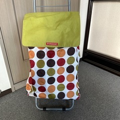 ショッピングカートバッグの画像