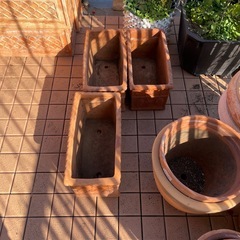 プランターお譲りしますの画像