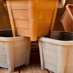 プランター　おまとめの画像