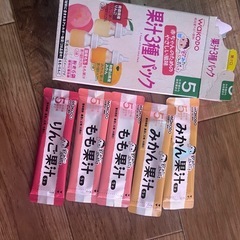 離乳食 スープ 果実パックの画像
