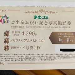 スタジオアリス撮影券の画像