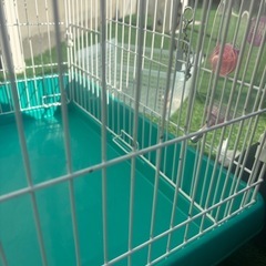 アイリスオーヤマ ラビットケージの画像