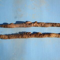 自然薯（栽培自然薯）の画像