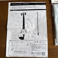初心者向け バイオリン SV180BC STENTOR/ステンター SV-180 (くま