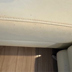 アルモニア　カウチソファ　カバー交換可能の画像