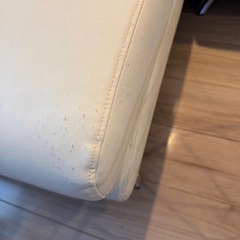 アルモニア　カウチソファ　カバー交換可能の画像