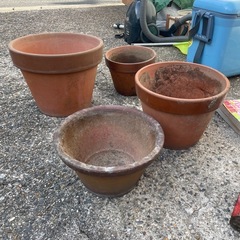 植木鉢差し上げます。の画像