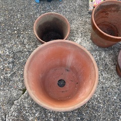 植木鉢差し上げます。の画像