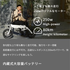 RICHBIT CITY ASSIST 電動アシスト自転車の画像