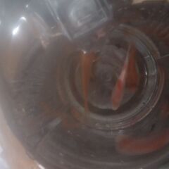 ボトル入りニシキゴイ(3匹)2ボトル品出ししました。の画像