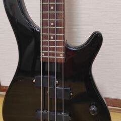 PhotoGenic Bassの画像